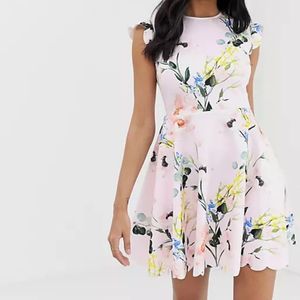 Ted Baker Size 2 (US 6) Karsali Elegance Scalloped Skater Dress